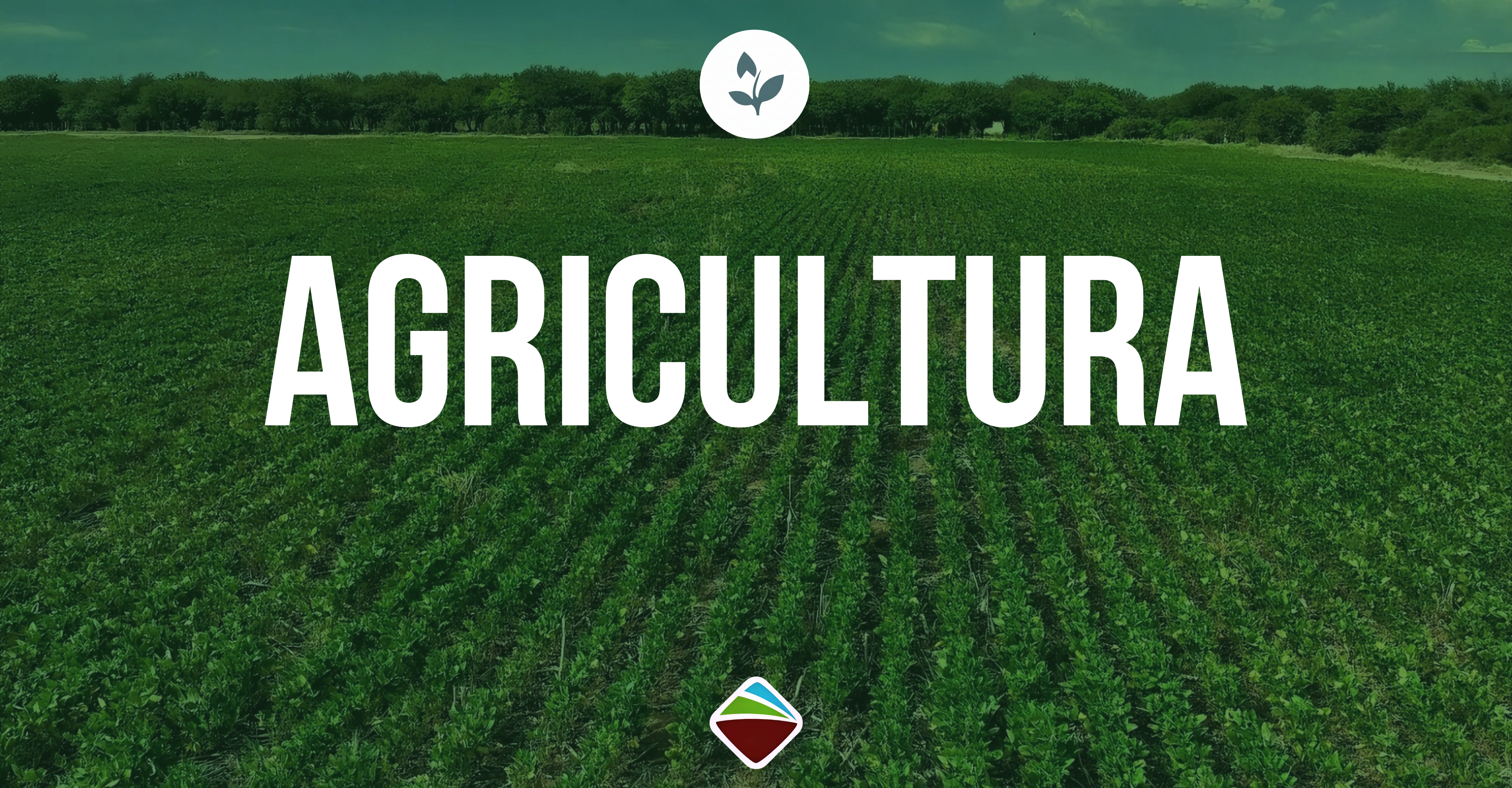 AGRICULTURA